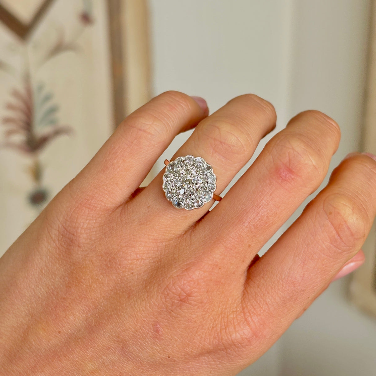 Antique, Edwardian old cut diamond cluster ring