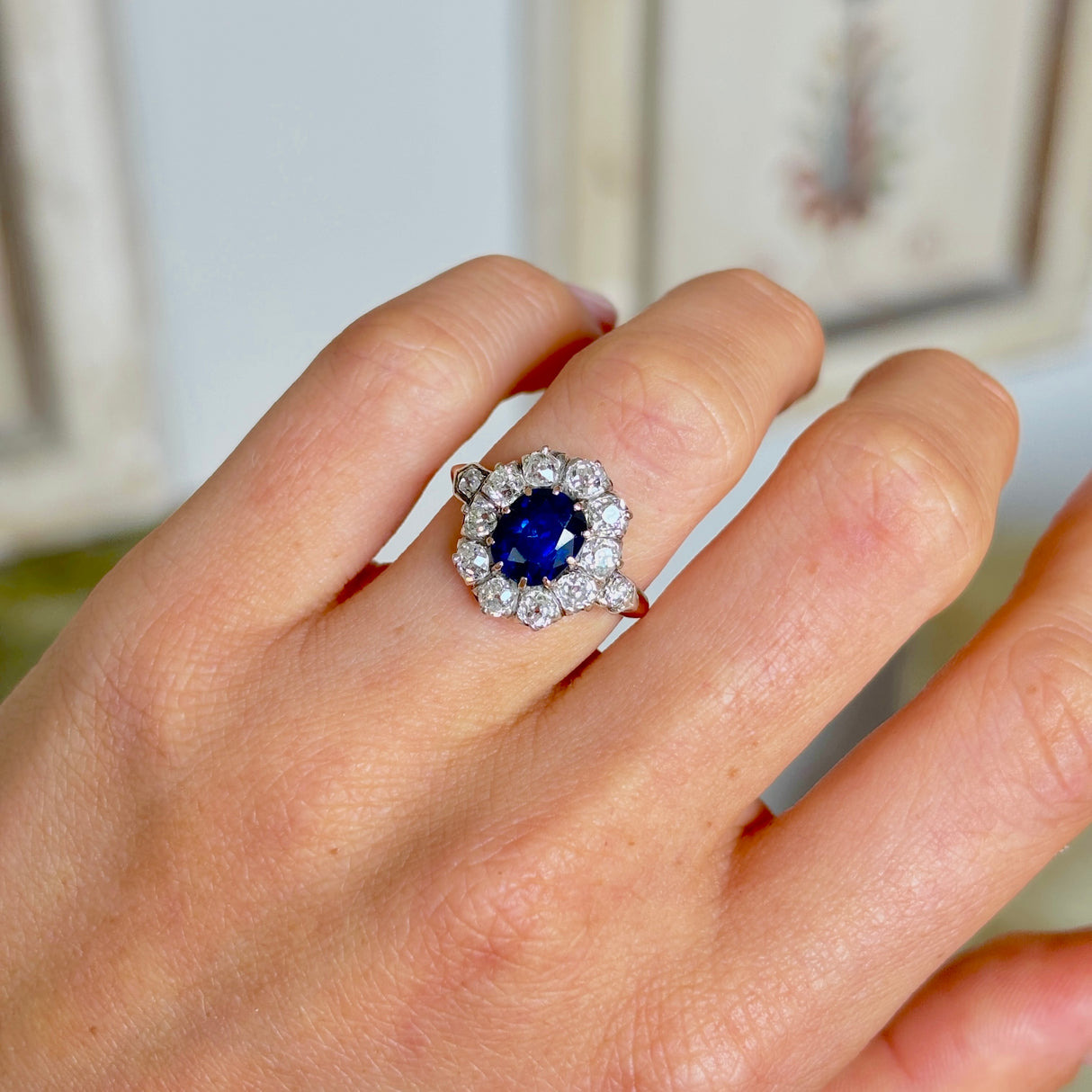Antique, Belle Époque sapphire & diamond cluster ring