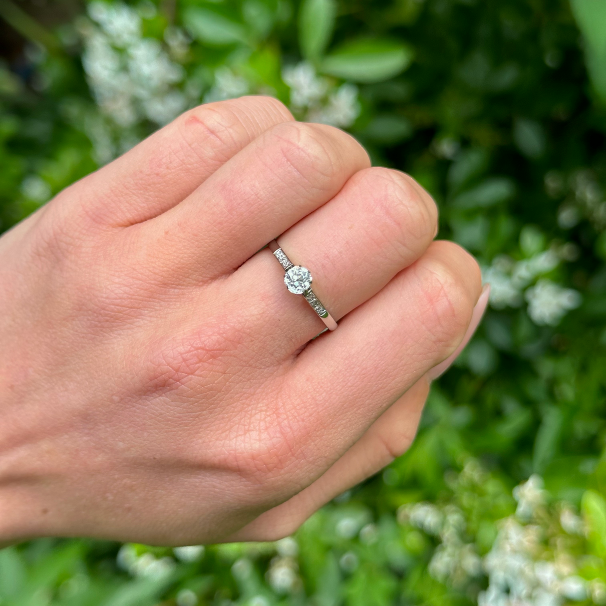 Antique, Edwardian solitaire diamond engagement ring, 18ct white gold and platinum