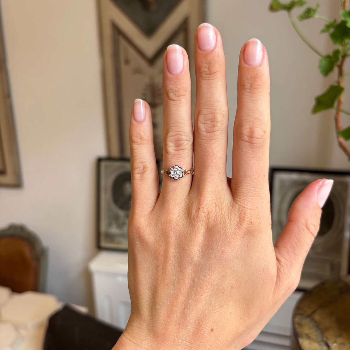 Antique Edwardian old-cut diamond daisy cluster ring worn on hand, showcasing an old-cut diamond cluster in a classic floral-inspired setting.