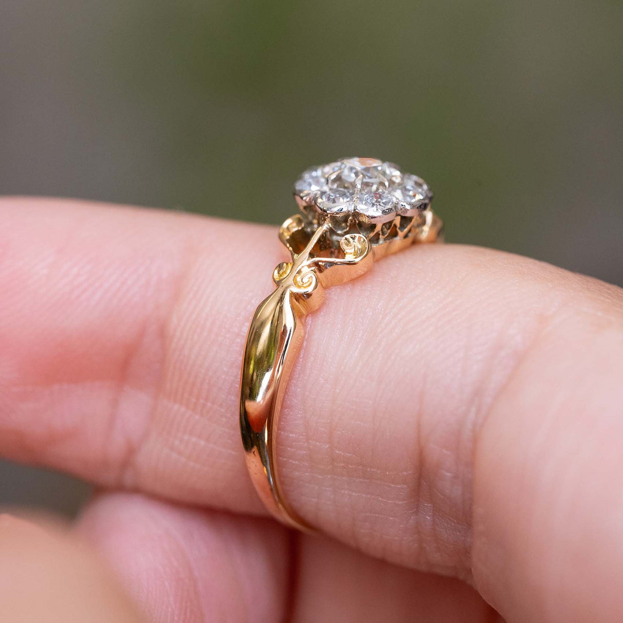 A close-up of an Antique, Edwardian diamond dainty cluster engagement ring mounted in yellow gold and held on a person's finger, showing the detailed and decorative shoulders against a blurred green background.