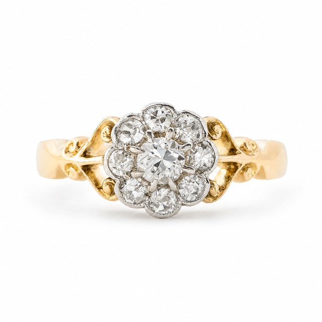An Antique Edwardian era diamond daisy cluster engagement ring set in yellow gold with ornate scrollwork photographed on a clean white background.