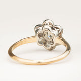 Antique, Edwardian diamond daisy cluster ring