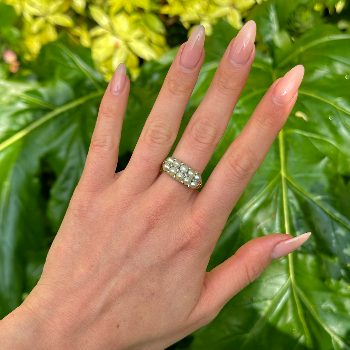 Antique, Victorian Double Row Pearl & Diamond Ring, 15ct Yellow Gold worn on hand.