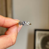 A close-up of a hand holding a three-stone diamond ring with a gold band, set against a softly blurred indoor background.