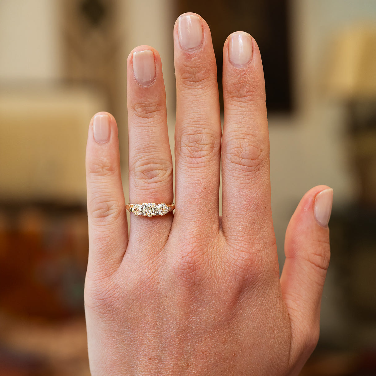 Hand wearing a victorian diamond three stone ring with a blurred background.