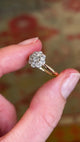 Antique, Edwardian diamond daisy cluster ring