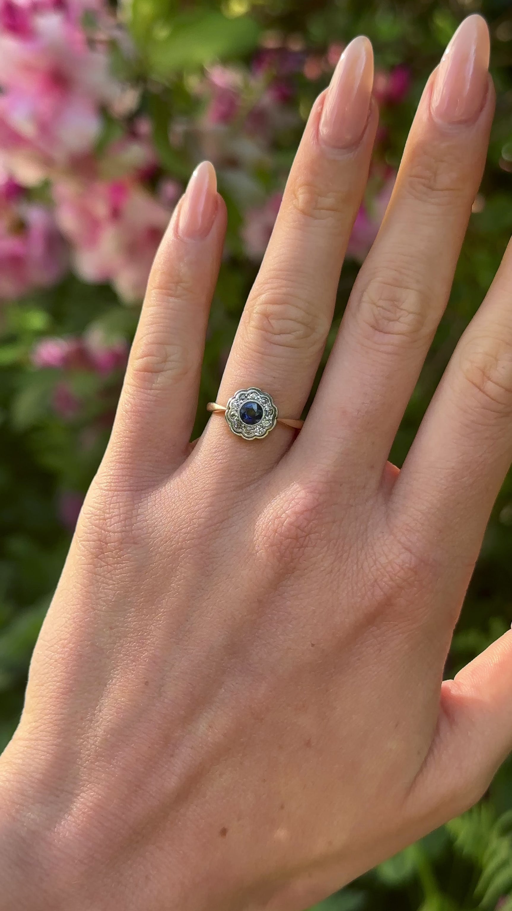  Antique, Edwardian Sapphire and Diamond Cluster Ring, 18ct Yellow Gold and Platinum worn on hand.