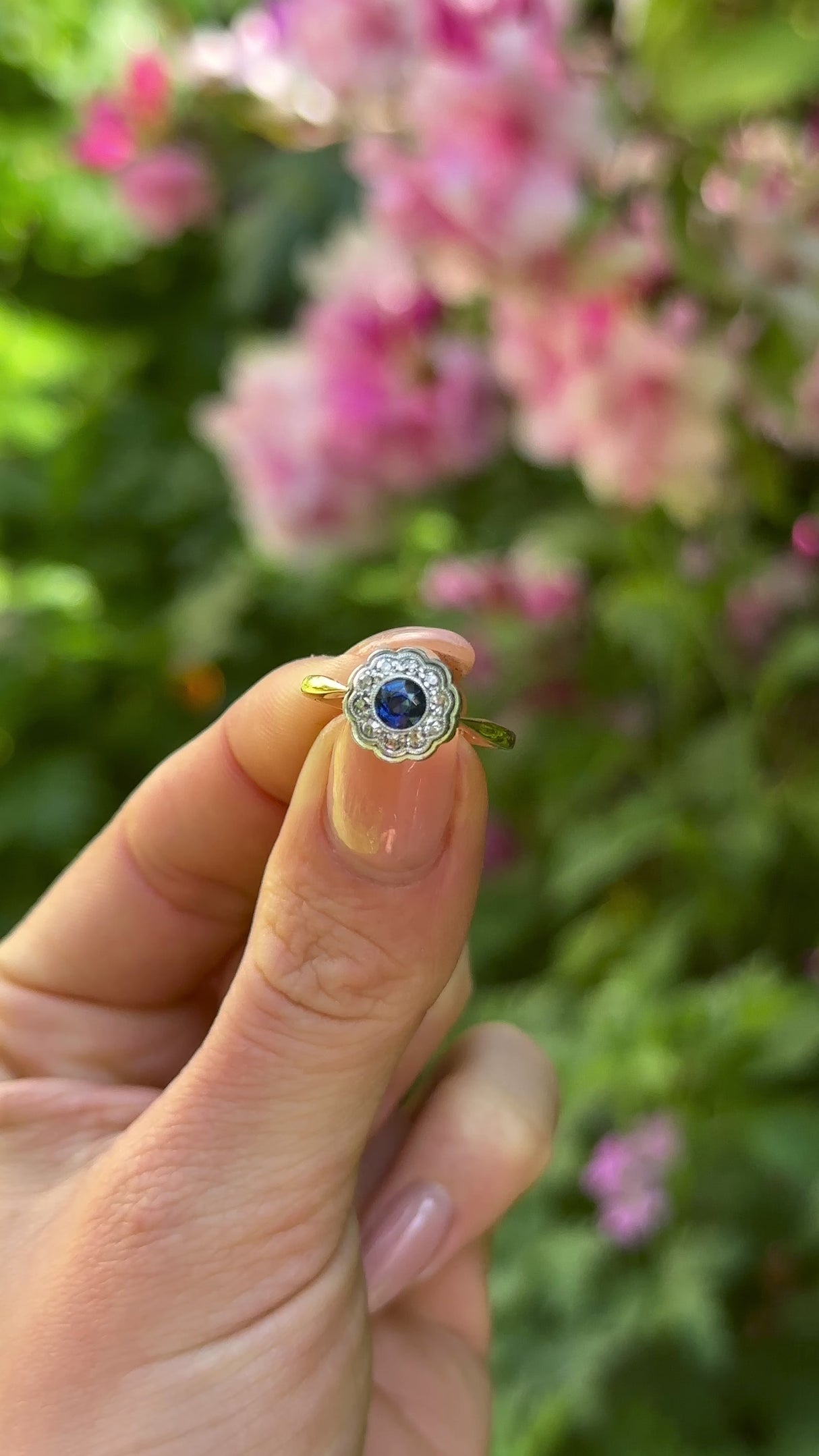 Antique, Edwardian Sapphire and Diamond Cluster Ring, 18ct Yellow Gold and Platinum held in fingers.