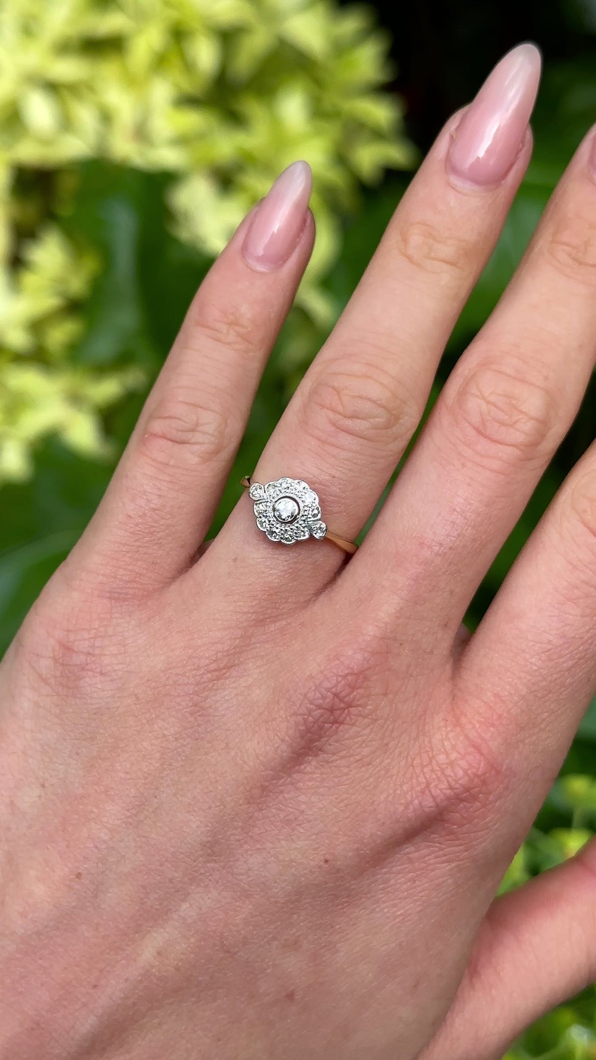 Antique, Belle Époque Diamond Cluster Engagement Ring, 18ct Yellow Gold and Platinum worn on hand. 