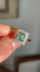 Antique, Edwardian emerald & diamond panel cluster ring