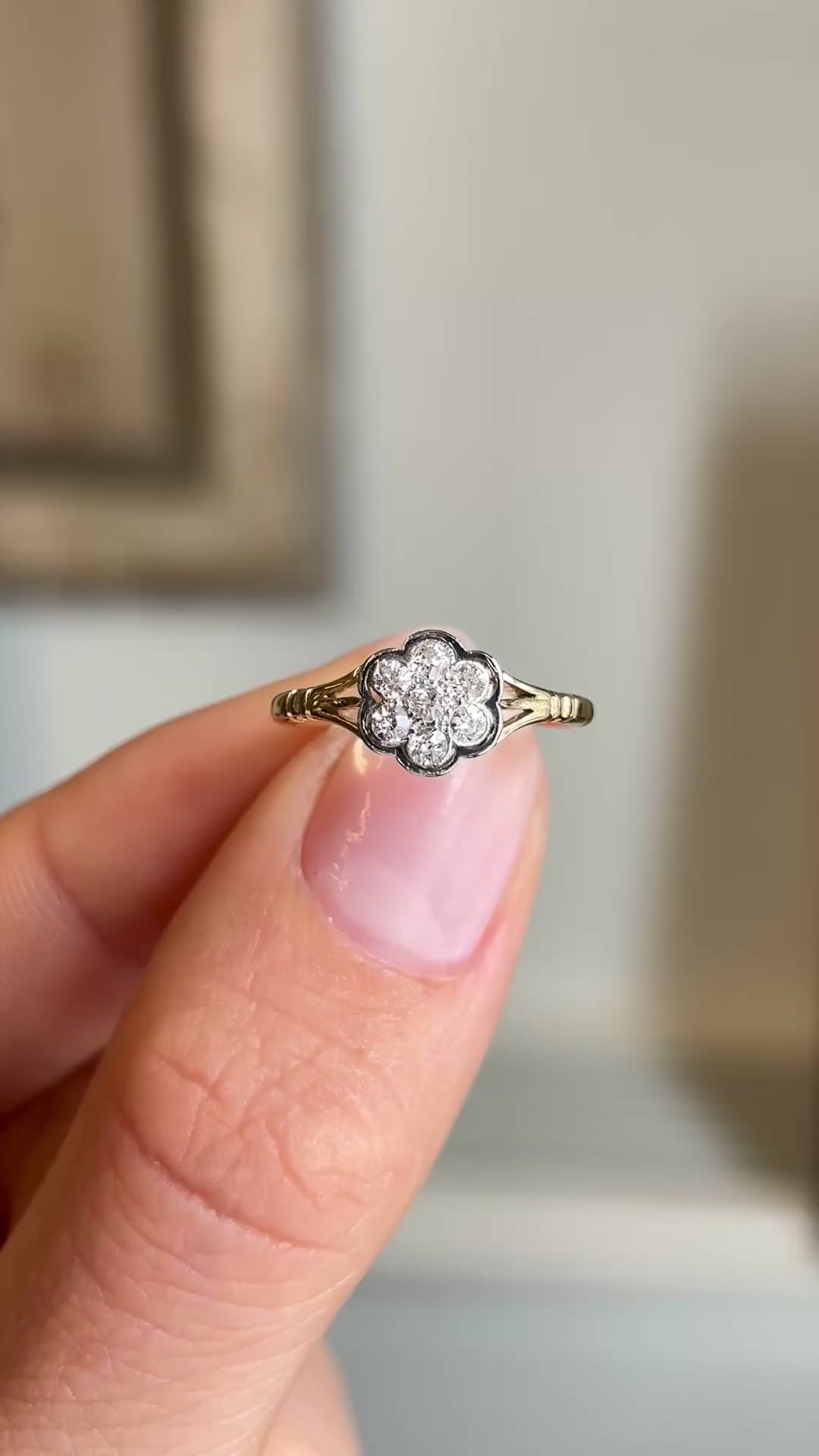 Close-up video of an antique Edwardian old-cut diamond daisy cluster ring, highlighting the brilliance of the old-cut diamonds and elegant daisy cluster design.