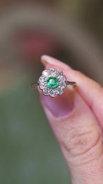 Antique Edwardian emerald and old-mine cut diamond cluster ring shown in subtle movement between fingers.