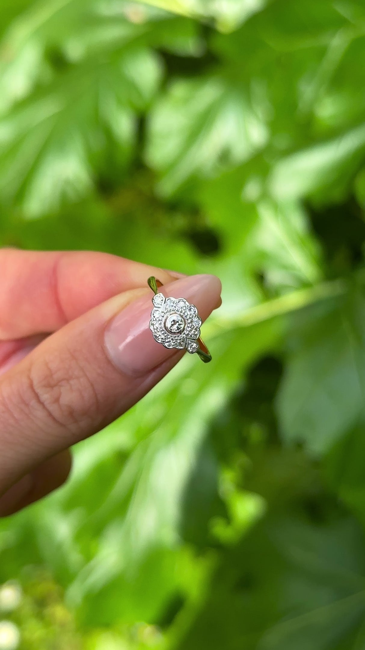Antique, Belle Époque Diamond Cluster Engagement Ring, 18ct Yellow Gold and Platinum held in fingers.