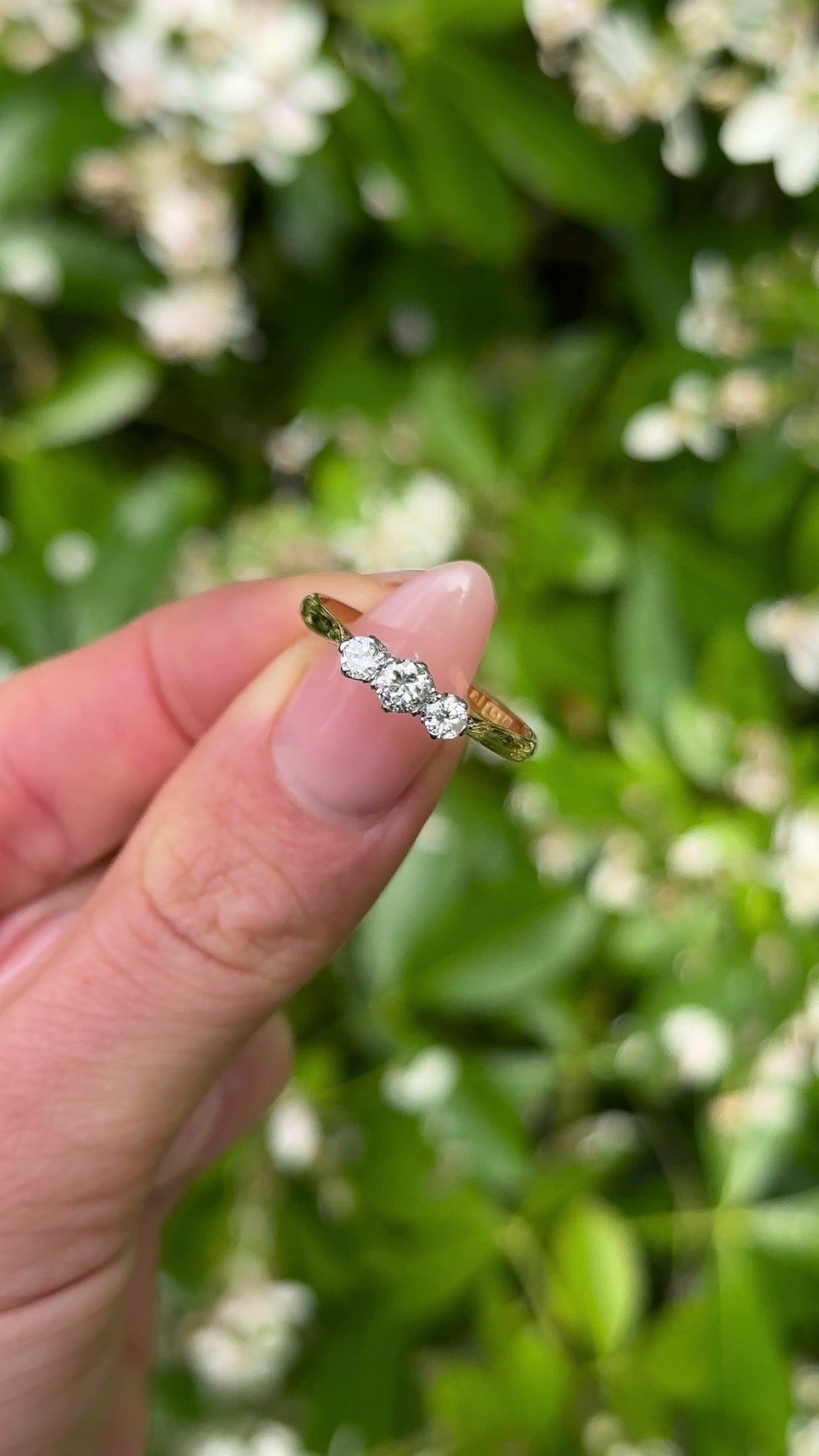 Vintage, 1950s Three-Stone Diamond Engagement Ring, 18ct Yellow Gold and Platinum held in fingers.