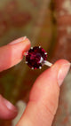 Antique, Edwardian garnet ring