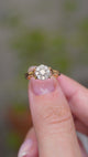 A video of an Antique, Edwardian diamond daisy cluster engagement ring from 1905 held between the finger and thumb and turned to showcase various angles and perspectives of the ring against a blurry background.